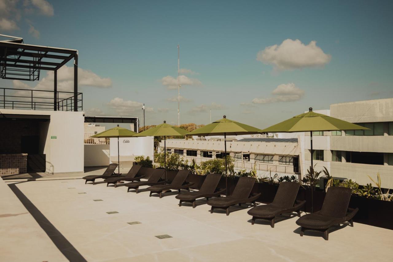 Caleta Hostel Rooftop & Pool Cancún Exteriör bild